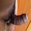 foto do perfil alfilho1
